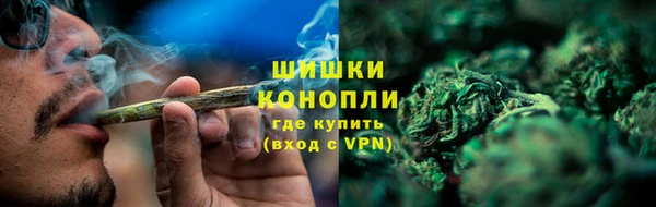 амф Арсеньев