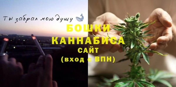 амф Арсеньев